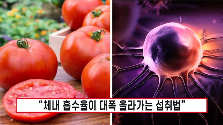 “그냥 먹는 것보다 효능이 10배” 토마토 이렇게 먹으면 암세포를 모조리 녹여버립니다!
