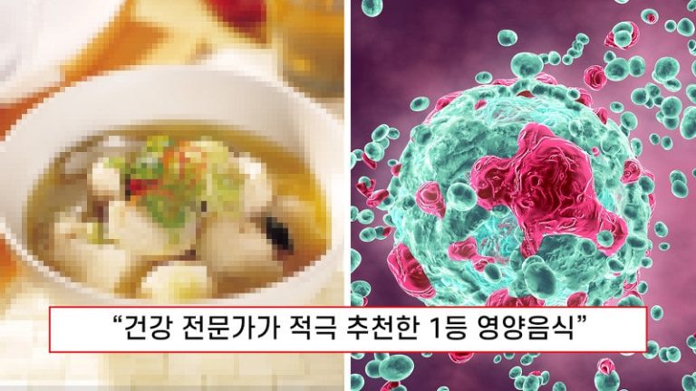 “항암제보다 강력한 항암푸드” 끈끈한 점액질로 암세포 사멸을 유도하는 놀라운 음식
