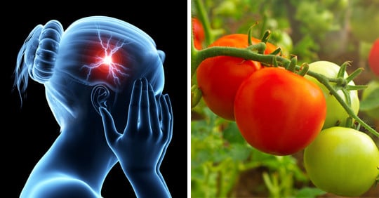 “토마토 절대 이렇게 먹지 마세요” 중독 증상이 발생해 심할 경우 전신마비를 일으킬 수 있습니다.