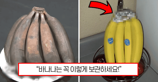 “바나나는 이렇게 보관하세요” 유통기한 짧은 바나나 오래 보관하는 방법