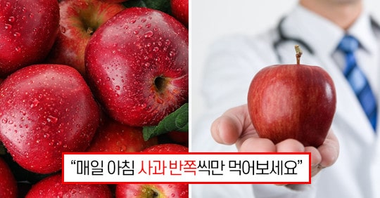 “매일 아침 사과 반쪽만 먹어보세요” 의사들이 매일 아침 ‘사과’를 추천하는 엄청난 이유