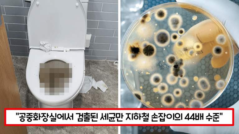 “공중 화장실 변기만 앉아도 똥을 먹는 것과 다름없습니다” 검출된 세균 수만 3,800마리