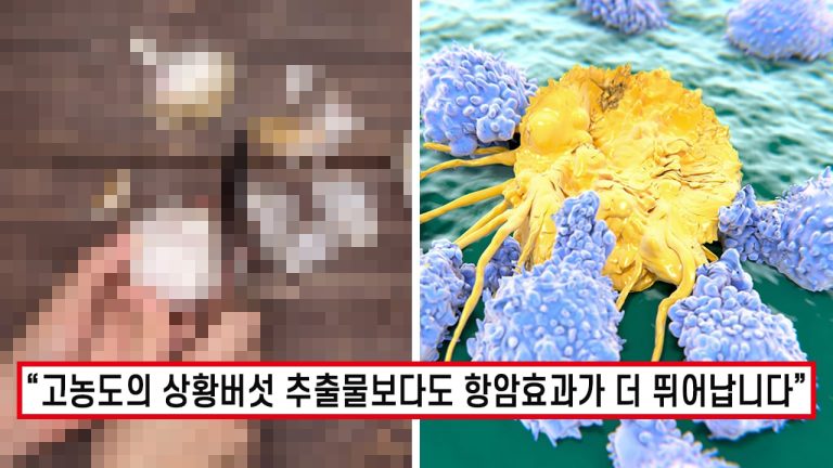 “그동안 버린거 아까워서 어떻게 해..” 한국인 10명 중 9명이 버리는데 알고보니 악질 암세포 78% 증식 억제하는 식재료