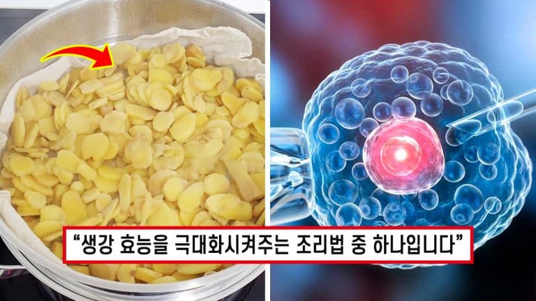 “보약마저 두손두발 들어버렸다..” 생강 ‘이렇게’ 먹으면 체내 흡수율 200% 높여 항산화효능이 극대화됩니다.