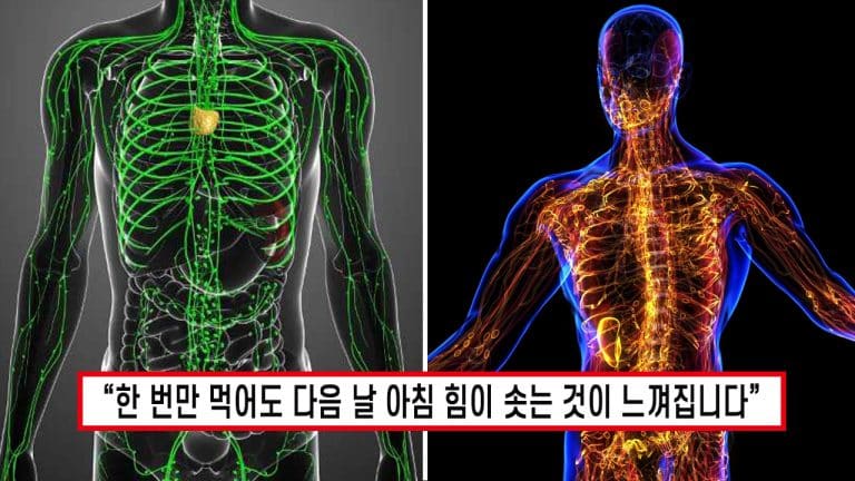 “만신창이 쓰레기장 수준..” 은근슬쩍 체내에 가득 쌓인 독소 ‘이것’ 먹기만 해도 싹 없애줍니다.