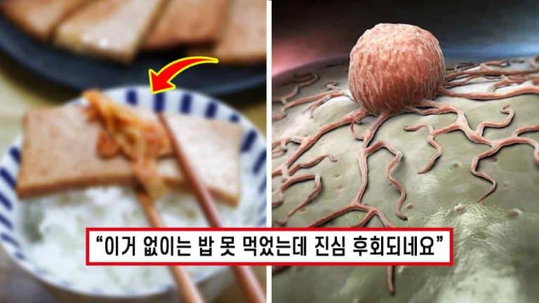 “독인 줄도 모르고..” 한국인 80% 최애 반찬으로 뽑힌 ‘이것’ 알고보니 암세포 유발하는 식품이었습니다.