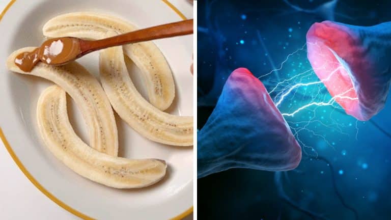 “알고 먹으면 보약..” 바나나 이것과 함께 먹으면 ‘끊어졌던 뇌세포’들이 서로 잡아당겨 연결됩니다.