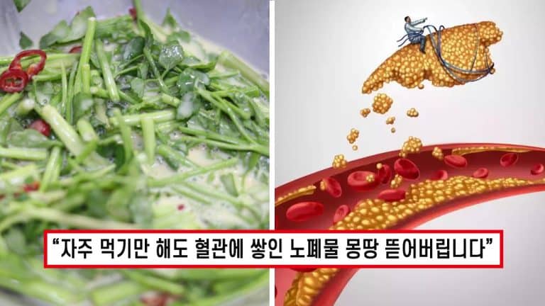 “특급 청소부가 따로 없네..” 미나리 ‘이렇게’ 먹으면 혈관에 달라붙은 노폐물 모조리 뜯어버립니다.