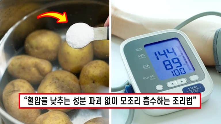 “이래도 안 먹어?” 감자 ‘이렇게’ 먹으면 주체 없이 치솟던 혈압도 빠르게 안정 시켜줍니다!