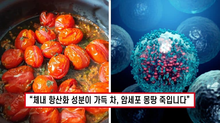 토마토 ‘이것’과 먹으면 체내 염증이 없어지고 최악의 암세포마저 도망가버립니다!