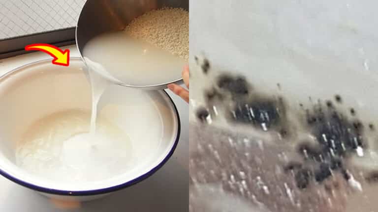 “진짜 위험한건데 대부분 잘 모름..” 만약 쌀 씻은 물이 ‘이렇다면’ 간암 유발하는 곰팡이가 잔뜩 핀 상태입니다.