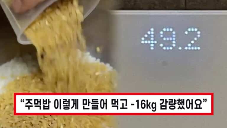 배부르게 살 빼는 방법, 주먹밥을 ‘이렇게’ 먹자 -16kg 감량했다!