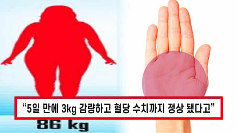 “5일 만에 3kg 감량” 86kg 여성이 겹뱃살과 고혈당을 한 번에 잡은 다이어트 비법 2가지